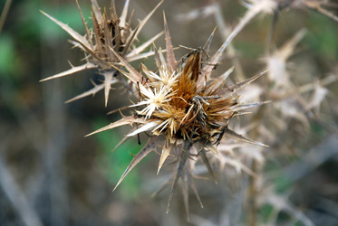 Similar image 22536301