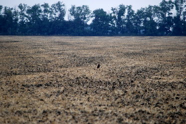 Similar image 22536251