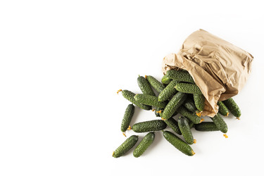 Similar image 22555896