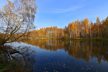 Similar image 22527643