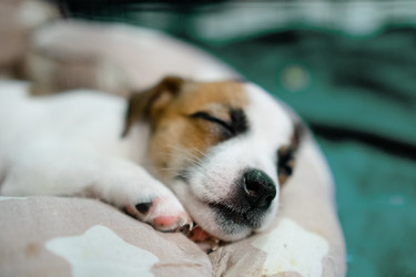 Similar image 22578390