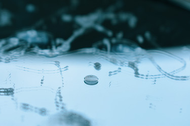 Similar image 22582753