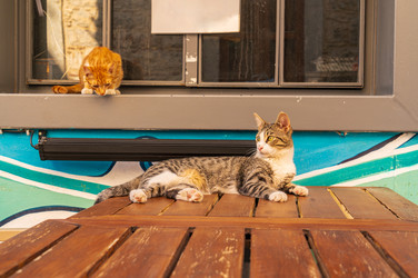 Similar image 22522967