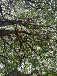 Similar image 22536252