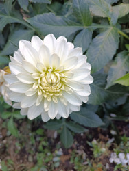 Similar image 22536253