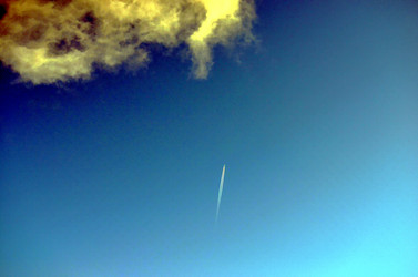 Similar image 22523043