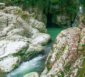 Similar image 22530870