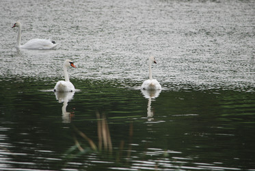 Similar image 22536282