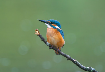 Similar image 22591522