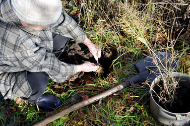 Similar image 22523056