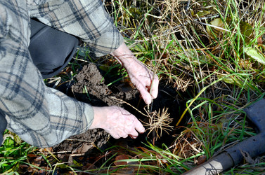 Similar image 22523058