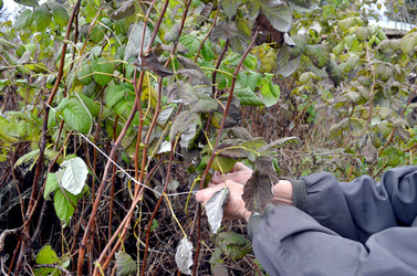 Similar image 22523059