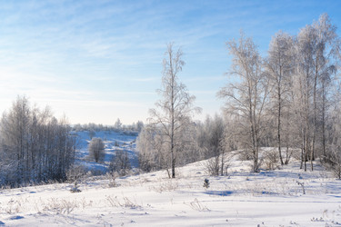 Similar image 22591541