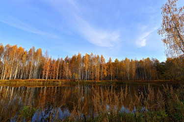 Similar image 22527660