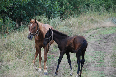 Similar image 22536283