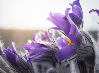 Similar image 22591542