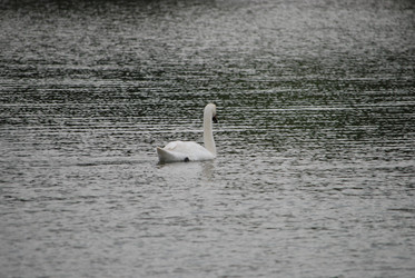 Similar image 22536285