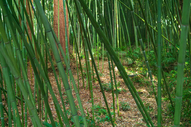 Similar image 22530880