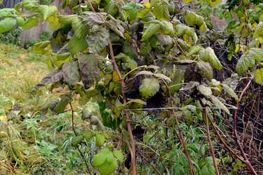 Similar image 22523079