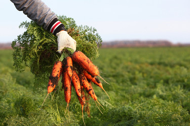 Similar image 22555942