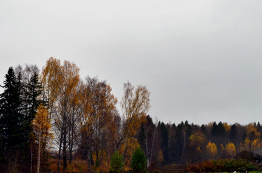 Similar image 22523080