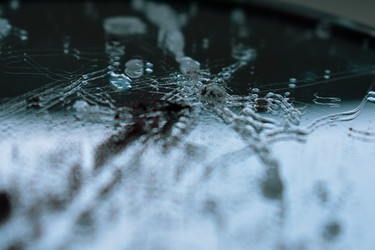 Similar image 22581003