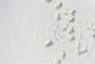 Similar image 22528957