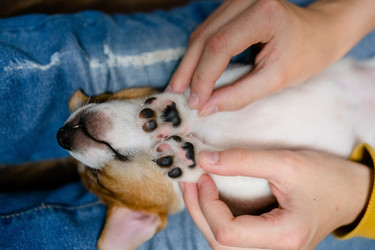 Similar image 22578503