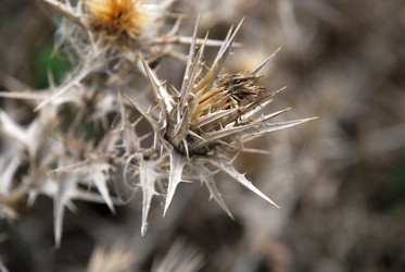 Similar image 22536303