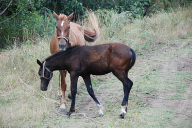 Similar image 22536304