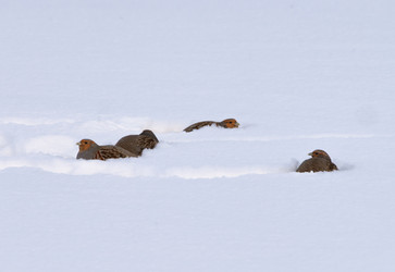 Similar image 22591552