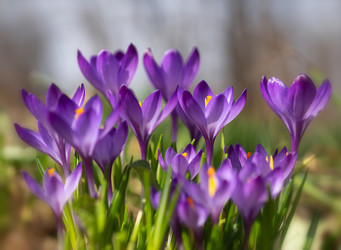 Similar image 22591475