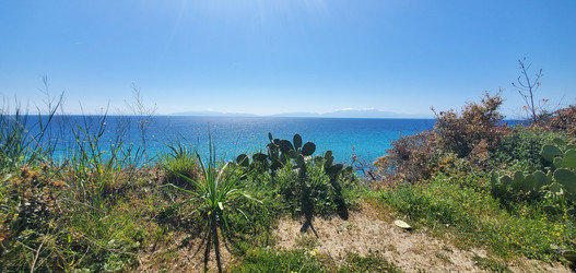 Similar image 22555479