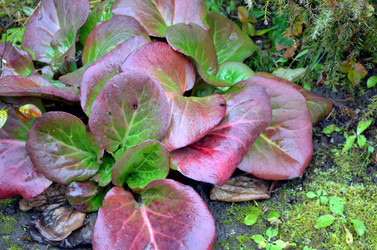 Similar image 22523044