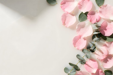 Similar image 22528883