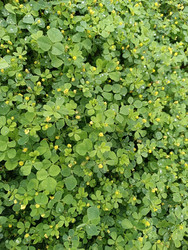 Similar image 22534959