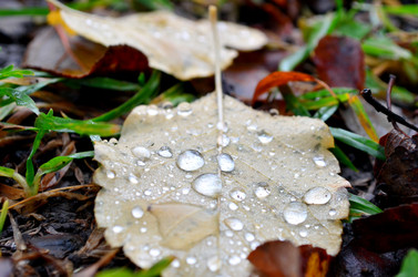 Similar image 22523045