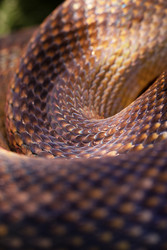 Similar image 22561985