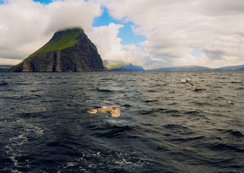 Similar image 22585615