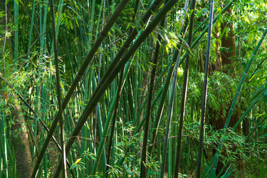 Similar image 22530837