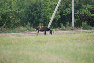 Similar image 22536266