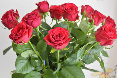 Similar image 22555496