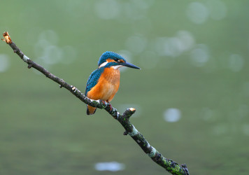 Similar image 22591524