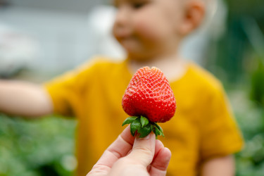 Similar image 22578392