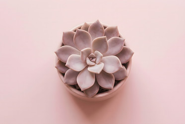 Similar image 22528908