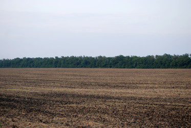 Similar image 22536267