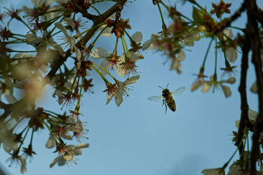 Similar image 22586700