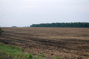 Similar image 22536268