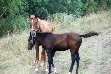 Similar image 22536269