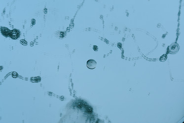 Similar image 22551208